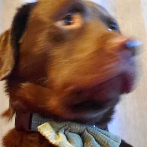 Meet your Posher, Eva